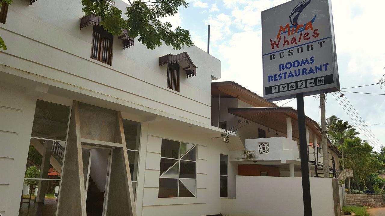 Mira Whales Resort Mirissa Buitenkant foto